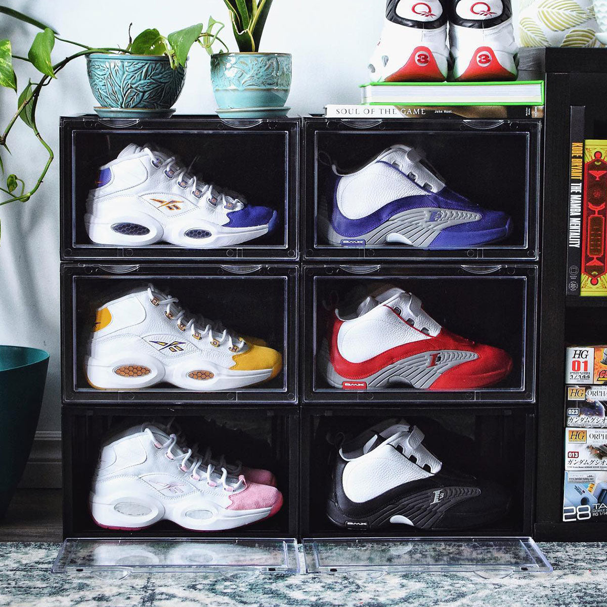 SNEAKER THRONE Drop Sides